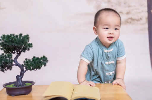 顺德可爱的企鹅宝宝